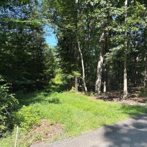 Photo #1 of 23 TAYLOR RD, LOUISA, VA 11.8 acres