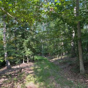 Photo #8 of 23 TAYLOR RD, LOUISA, VA 11.8 acres