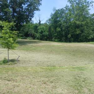 Photo #14 of CAROLYNS WAY, LINDEN, VA 1.6 acres