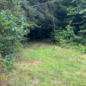 Photo #1 of 7609 LAWYERS RD, SPOTSYLVANIA, VA 22.0 acres
