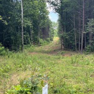Photo #3 of 7609 LAWYERS RD, SPOTSYLVANIA, VA 22.0 acres