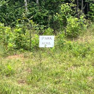 Photo #5 of 7609 LAWYERS RD, SPOTSYLVANIA, VA 22.0 acres