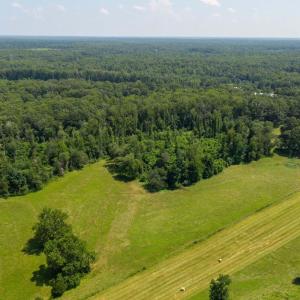 Photo #17 of 11997 BRISTERSBURG RD, MIDLAND, VA 233.0 acres