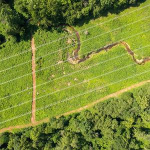 Photo #26 of 11997 BRISTERSBURG RD, MIDLAND, VA 233.0 acres