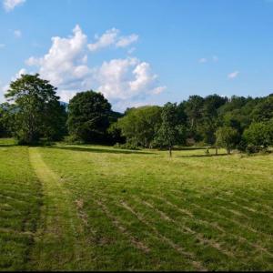 Photo #1 of ROCK MILLS RD, WOODVILLE, VA 6.7 acres