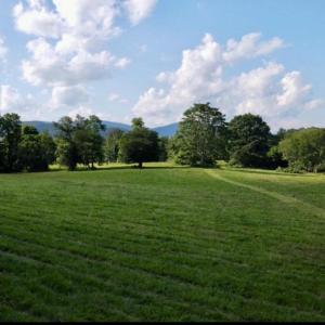 Photo #4 of ROCK MILLS RD, WOODVILLE, VA 6.7 acres