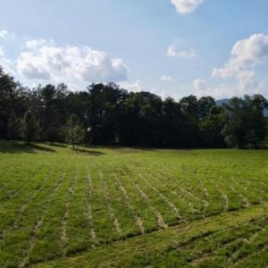 Photo #3 of ROCK MILLS RD, WOODVILLE, VA 6.7 acres