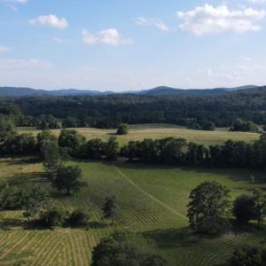 Photo #8 of ROCK MILLS RD, WOODVILLE, VA 6.7 acres