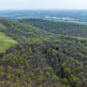 Photo #1 of HAWTHORNE DR, RAPIDAN, VA 22.9 acres