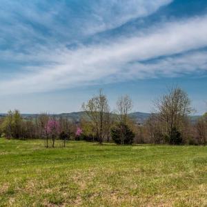 Photo #5 of HAWTHORNE DR, RAPIDAN, VA 22.9 acres