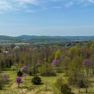 Photo #4 of HAWTHORNE DR, RAPIDAN, VA 22.9 acres