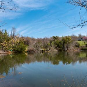 Photo #11 of HAWTHORNE DR, RAPIDAN, VA 22.9 acres