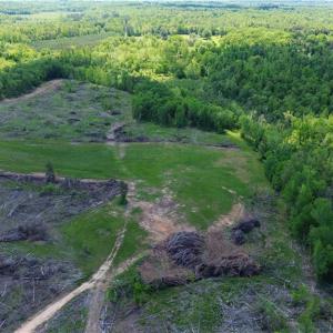 Photo #28 of OLD APPLE GROVE RD, MINERAL, VA
