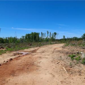 Photo #5 of OLD APPLE GROVE RD, MINERAL, VA
