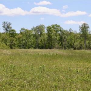 Photo #1 of OLD APPLE GROVE RD, MINERAL, VA