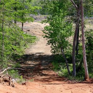 Photo #6 of OLD APPLE GROVE RD, MINERAL, VA