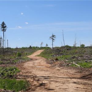 Photo #26 of OLD APPLE GROVE RD, MINERAL, VA