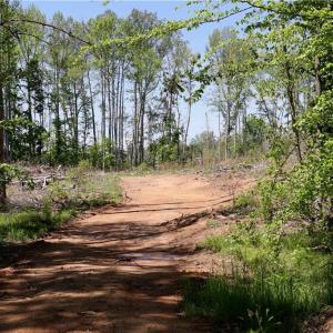 Photo #10 of OLD APPLE GROVE RD, MINERAL, VA