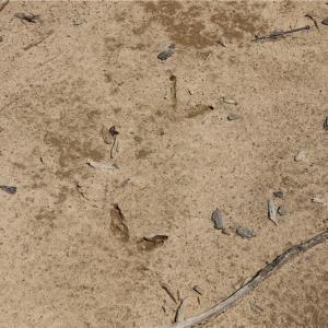 Photo #11 of OLD APPLE GROVE RD, MINERAL, VA