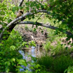 Photo #12 of OLD APPLE GROVE RD, MINERAL, VA