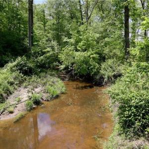 Photo #14 of OLD APPLE GROVE RD, MINERAL, VA