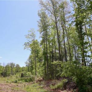 Photo #19 of OLD APPLE GROVE RD, MINERAL, VA