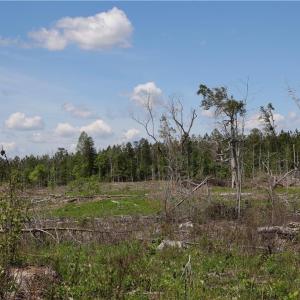 Photo #22 of OLD APPLE GROVE RD, MINERAL, VA