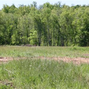 Photo #16 of OLD APPLE GROVE RD, MINERAL, VA