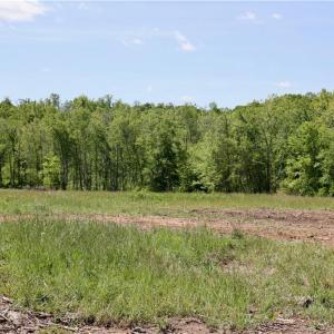 Photo #27 of OLD APPLE GROVE RD, MINERAL, VA