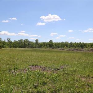 Photo #36 of OLD APPLE GROVE RD, MINERAL, VA