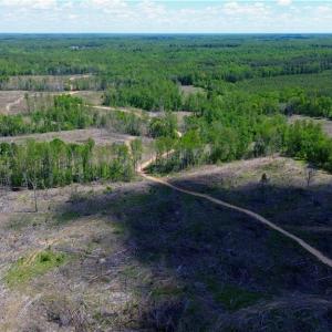 Photo #23 of OLD APPLE GROVE RD, MINERAL, VA