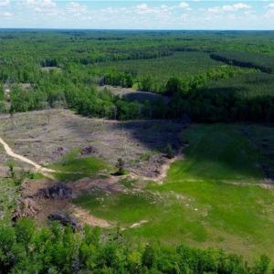 Photo #24 of OLD APPLE GROVE RD, MINERAL, VA