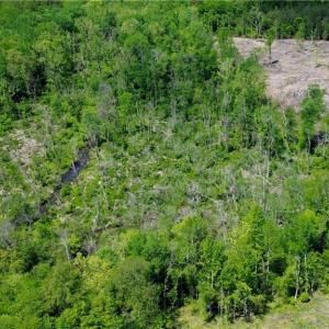 Photo #34 of OLD APPLE GROVE RD, MINERAL, VA