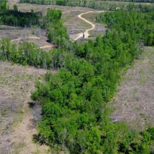 Photo #25 of OLD APPLE GROVE RD, MINERAL, VA