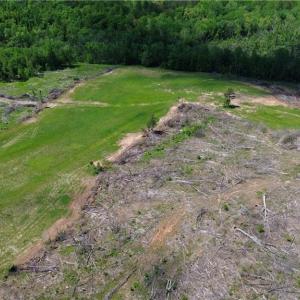 Photo #30 of OLD APPLE GROVE RD, MINERAL, VA