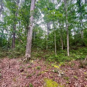 Photo #3 of OAK LANE, LURAY, VA 0.7 acres