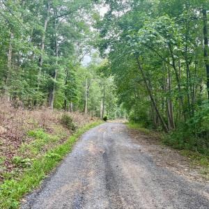 Photo #2 of OAK LANE, LURAY, VA 0.7 acres