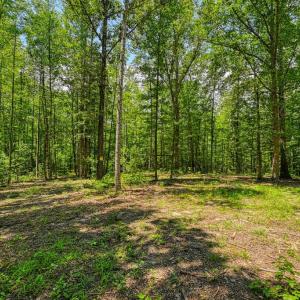 Photo #2 of JOHNSON RD, MINERAL, VA 14.0 acres