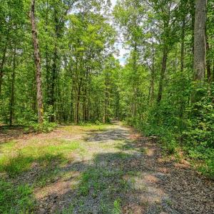 Photo #3 of JOHNSON RD, MINERAL, VA 14.0 acres