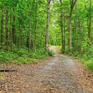 Photo #6 of JOHNSON RD, MINERAL, VA 14.0 acres