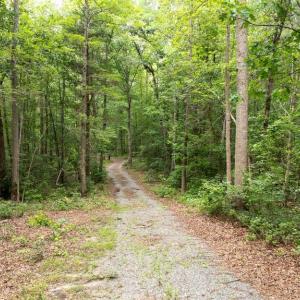 Photo #10 of JOHNSON RD, MINERAL, VA 14.0 acres