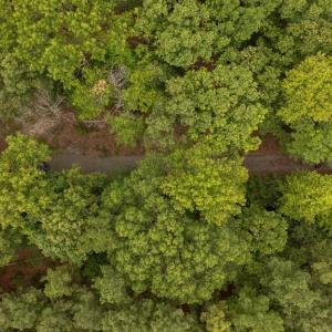 Photo #15 of JOHNSON RD, MINERAL, VA 14.0 acres