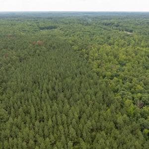 Photo #18 of JOHNSON RD, MINERAL, VA 14.0 acres