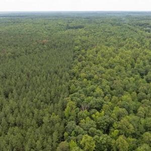 Photo #19 of JOHNSON RD, MINERAL, VA 14.0 acres