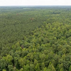 Photo #20 of JOHNSON RD, MINERAL, VA 14.0 acres