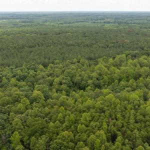 Photo #21 of JOHNSON RD, MINERAL, VA 14.0 acres