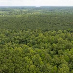 Photo #22 of JOHNSON RD, MINERAL, VA 14.0 acres