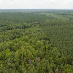 Photo #25 of JOHNSON RD, MINERAL, VA 14.0 acres
