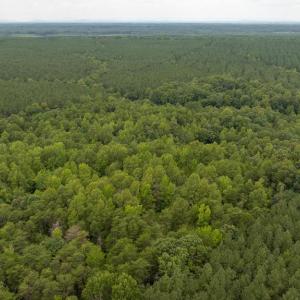 Photo #26 of JOHNSON RD, MINERAL, VA 14.0 acres