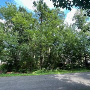 Photo #1 of 507 LIBERTY BLVD, LOCUST GROVE, VA 0.3 acres